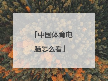 中国体育电脑怎么看