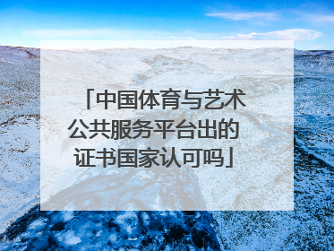 中国体育与艺术公共服务平台出的证书国家认可吗