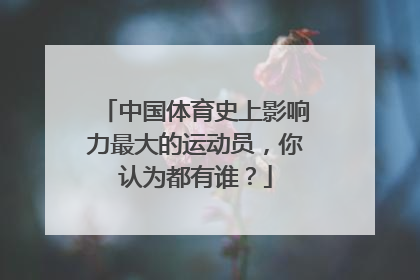 中国体育史上影响力最大的运动员，你认为都有谁？