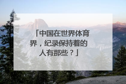 中国在世界体育界，纪录保持着的人有那些？