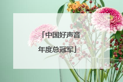 「中国好声音年度总冠军」中国好声音年度总冠军是谁