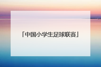 「中国小学生足球联赛」小学生校园足球联赛方案