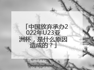 中国放弃承办2022年U23亚洲杯，是什么原因造成的？