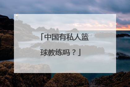 中国有私人篮球教练吗？