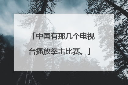 中国有那几个电视台播放拳击比赛。