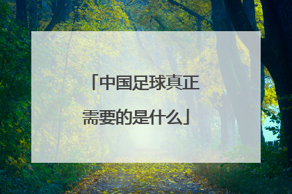 「中国足球真正需要的是什么」中国足球协会是什么级别