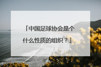 中国足球协会是个什么性质的组织？