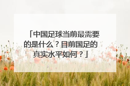 中国足球当前最需要的是什么？目前国足的真实水平如何？