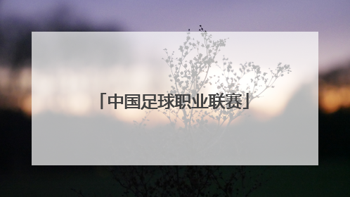 「中国足球职业联赛」中国足球职业联赛有几个级别