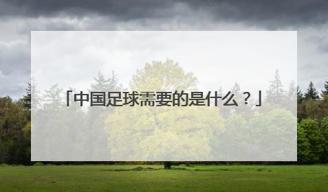 中国足球需要的是什么？