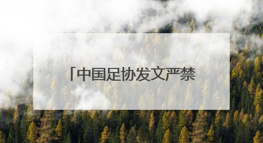 中国足协发文严禁裁判参与赌球，裁判在足球比赛中左右比赛的能力如何？