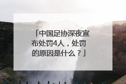 中国足协深夜宣布处罚4人，处罚的原因是什么？