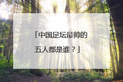 中国足坛最帅的五人都是谁？