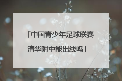 中国青少年足球联赛清华附中能出线吗