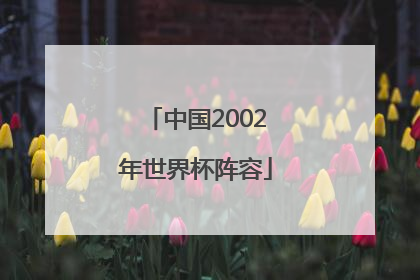 「中国2002年世界杯阵容」2002世界杯日本队阵容
