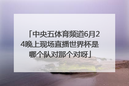 中央五体育频道6月24晚上现场直播世界杯是哪个队对那个对呀