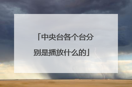 中央台各个台分别是播放什么的