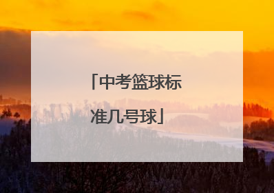 「中考篮球标准几号球」中考篮球标准几号球用什么牌子