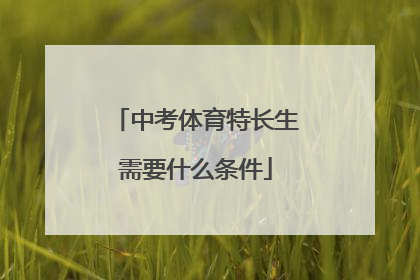 「中考体育特长生需要什么条件」中考体育特长生有什么项目