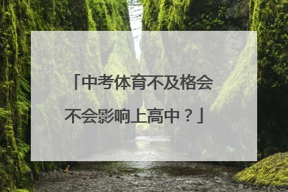 中考体育不及格会不会影响上高中？