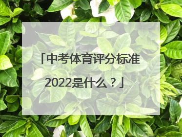 中考体育评分标准2022是什么？