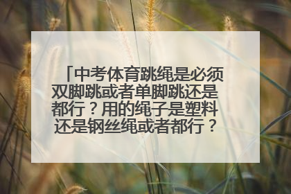 中考体育跳绳是必须双脚跳或者单脚跳还是都行？用的绳子是塑料还是钢丝绳或者都行？？？求解答…