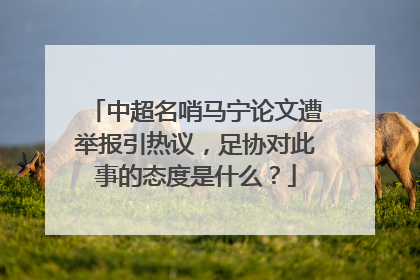 中超名哨马宁论文遭举报引热议，足协对此事的态度是什么？