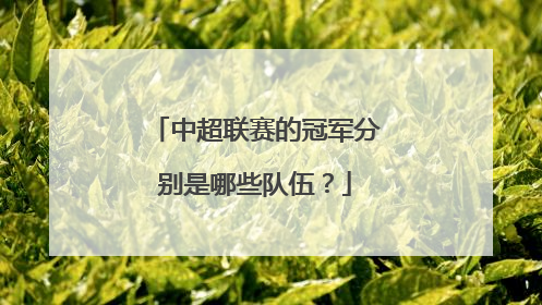 中超联赛的冠军分别是哪些队伍？