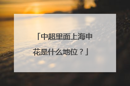 中超里面上海申花是什么地位？