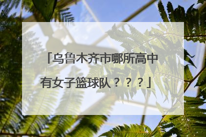 乌鲁木齐市哪所高中有女子篮球队？？？