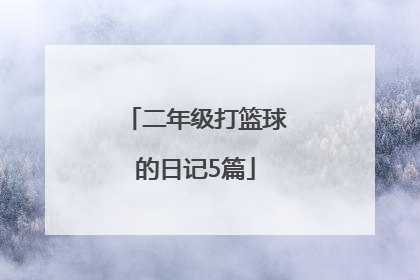 二年级打篮球的日记5篇