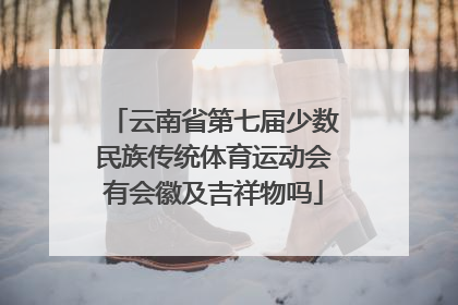 云南省第七届少数民族传统体育运动会有会徽及吉祥物吗