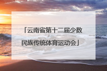 「云南省第十二届少数民族传统体育运动会」云南省第十二届少数民族传统体育运动会开幕式奖牌榜