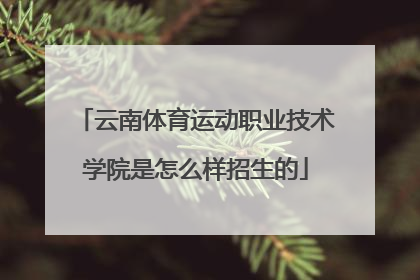 云南体育运动职业技术学院是怎么样招生的