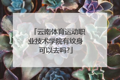 云南体育运动职业技术学院有纹身可以去吗?