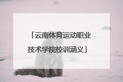 云南体育运动职业技术学院校训涵义