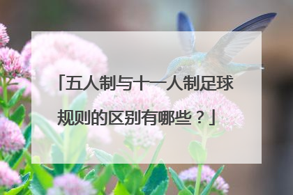 五人制与十一人制足球规则的区别有哪些？