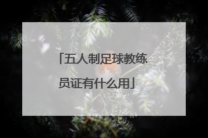 五人制足球教练员证有什么用