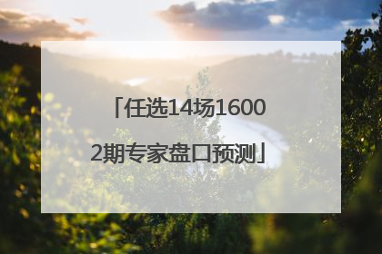 任选14场16002期专家盘口预测