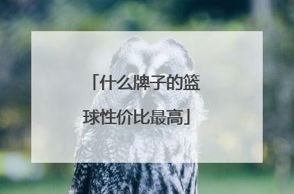 什么牌子的篮球性价比最高