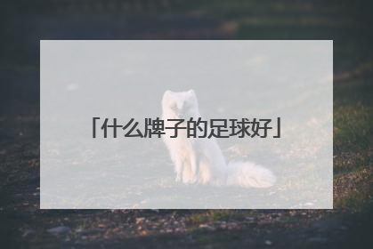 什么牌子的足球好