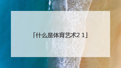 什么是体育艺术2 1