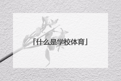 什么是学校体育