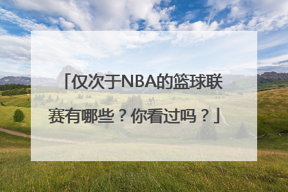 仅次于NBA的篮球联赛有哪些？你看过吗？