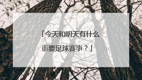 今天和明天有什么重要足球赛事？