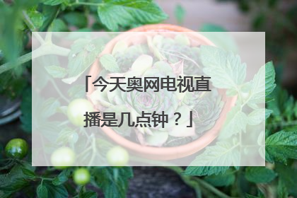 今天奥网电视直播是几点钟？