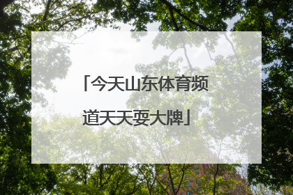 「今天山东体育频道天天耍大牌」山东体育频道天天耍大牌在线观看回看