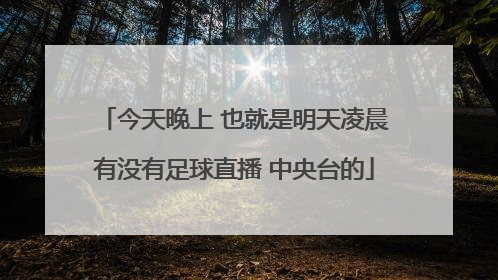 今天晚上 也就是明天凌晨有没有足球直播 中央台的