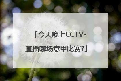 今天晚上CCTV-直播哪场意甲比赛?