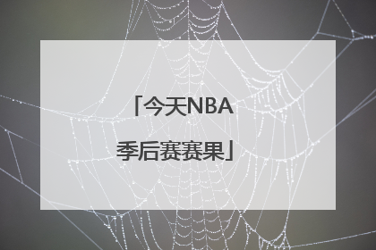 今天NBA 季后赛赛果